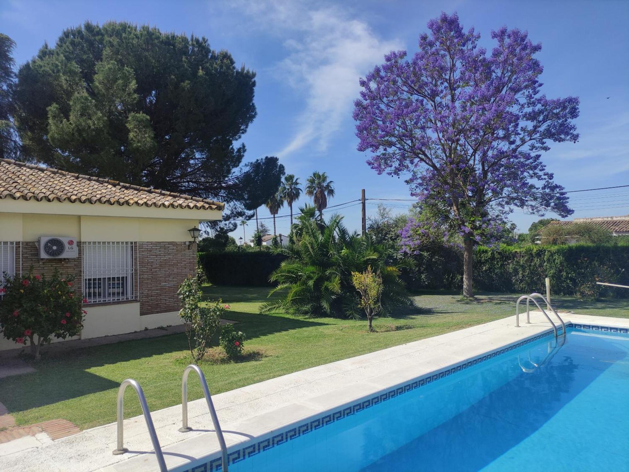 Remanso De Paz Cerca De Sevilla Dreamertu Palomares del Río Esterno foto